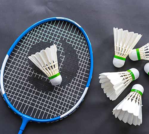 张本智和未 张本智和未